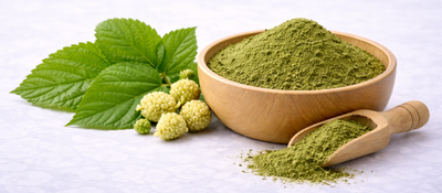 White Mulberry Leaf